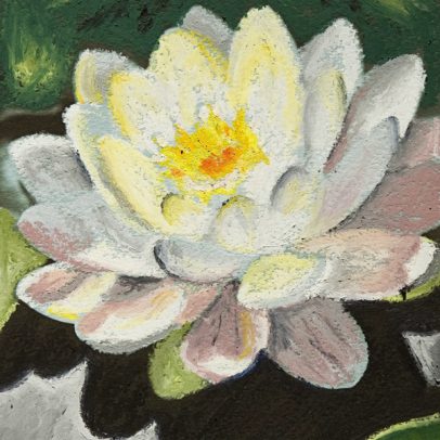 Water Lily_Pastel Card_SHOP