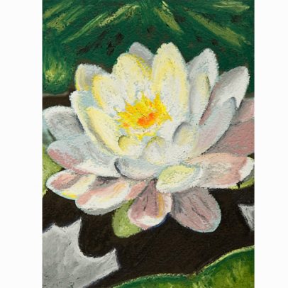 White Water Lily Pastel Painting_SHOP